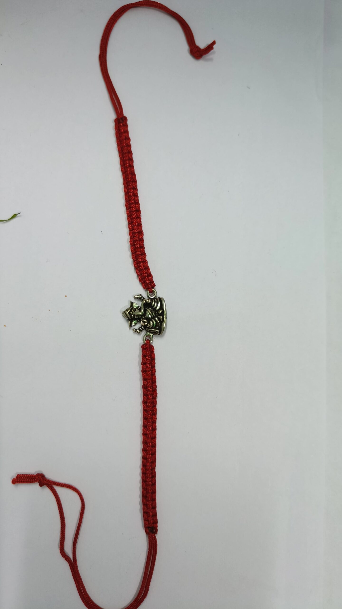 IMG20240727192721 (1)